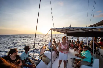Blue-Finn-Sunset-Sail-5